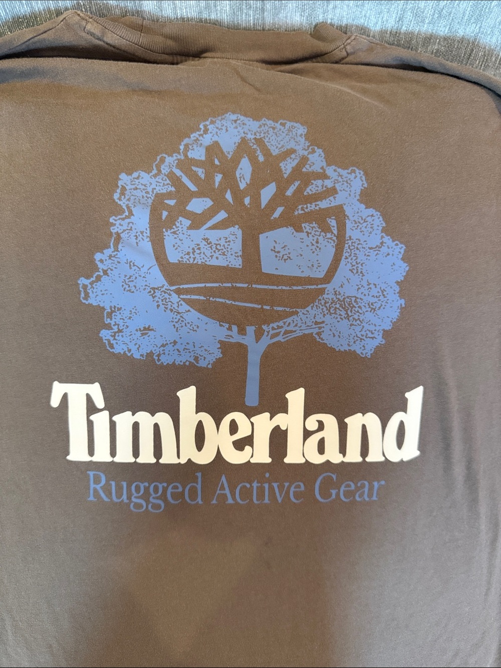 Timberland t-shirt (S) bought at PacSun. Tons of life left- great condition!
